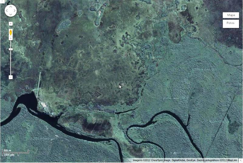 FIGURA 04 - Paisagem característica do Pantanal Mato-grossense, localizada em Capinzal- MS