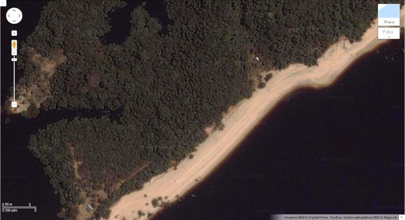 FIGURA 03 - Paisagem característica da Amazônia, localizada próximo de  Manaus- AM